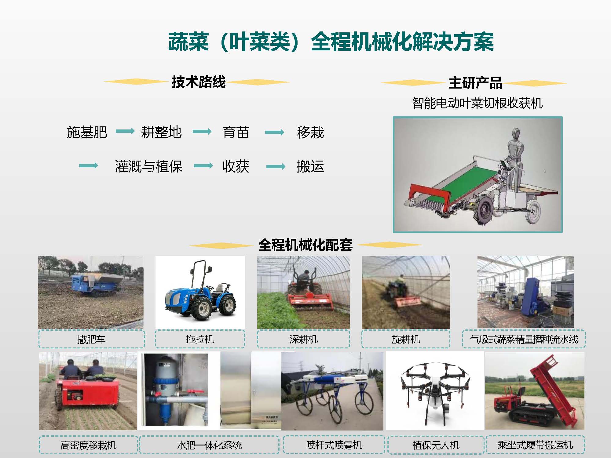 蔬菜（叶菜类）全程机械化解决方案